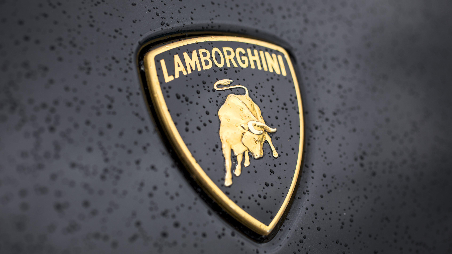 Lamborghini emblem